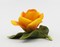 Ceramic Yellow Rose Flower Figurine, Home Decor, Bathroom Decor, Gift for Her, Gift for Mom